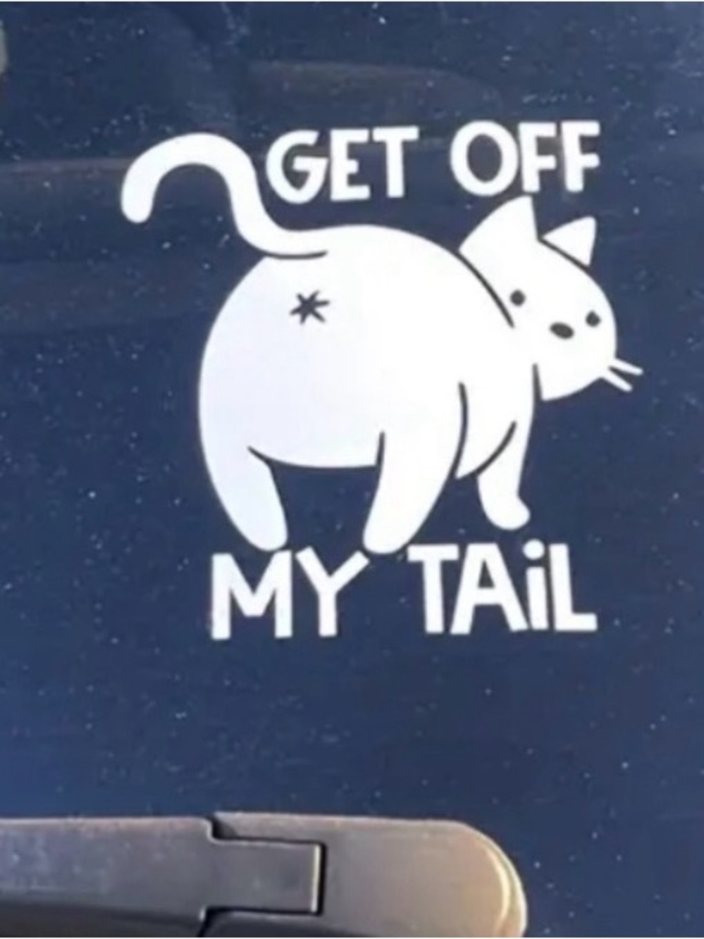 Cat Auto Decal Sticker w/ bonus
